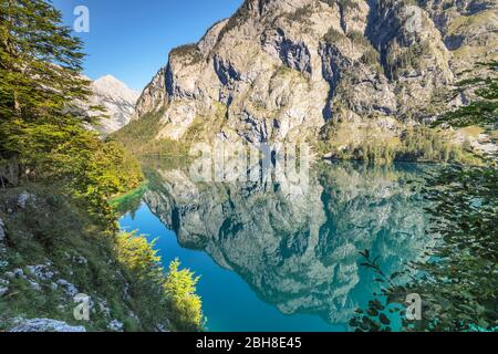 Watzmann spiegelt sich im Obersee, Salet am Königssee, Berchtesgadener Land, Nationalpark Berchtesgaden, Oberbayern, Bayern, Deutschland Stockfoto