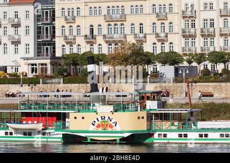 Historischer Raddampfer auf der Elbe, Bad Schandau, Nationalpark Sächsische Schweiz, Sachsen, Deutschland Stockfoto