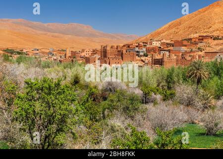 Kasbah in Ait Arbi, Dadestal, Kasbahs Road, Atlas, Marokko, Al-Magreb, Afrika Stockfoto