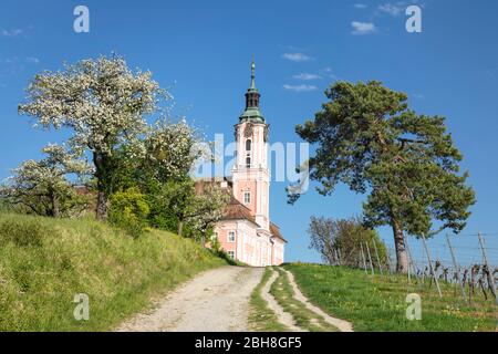 Wallfahrtskirche und Kloster Birnau, Unteruhldingen, Bodensee, Baden-Württemberg, Deutschland Stockfoto