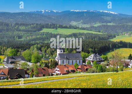 Blick von Breitnau zum Feldberg im Frühling, Schwarzwald, Baden, Württemberg, Deutschland Stockfoto