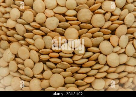 Zurück zum Thema Naturvegan Food Konzept Hintergrund: Makro Nahaufnahme von rohen getrockneten Linsen in einem Glasgefäß Stockfoto