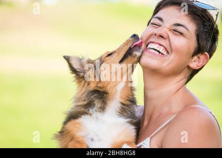 Junge niedlich kaukasische Frau spielen mit schöner hund welpe Shetland-Hg und Freundschaft zwischen Mensch und Tier - gemeinsam lachen Stockfoto