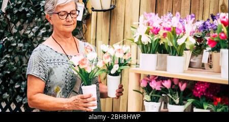 Schöne reife Frau 70 Jahre alt im Gartengeschäft wählen Sie, welche Blumenpflanze zu kaufen Ameise nach Hause nehmen, um Haus mehr Schönheit - Farben und glückliche Menschen tun Einkaufen mit Naturartikeln zu machen Stockfoto