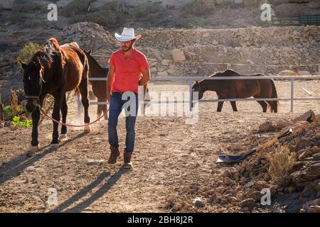 Red Shirt Cowboy Farmer Mann arbeitet mit Pferden im Freien Land Seite Platz - schöne Alternative freien Lebensstil für Menschen, die die Natur und die Tiere genießen Stockfoto