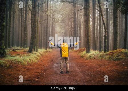 Mann mit Trekkingausrüstung steht in der Mitte einer Straße genießen Freiheit und alternative Urlaub Abenteuer Lebensstil - Wald und Holz Natur landschaftlich schönen Ort mit hohen Bäumen Stockfoto