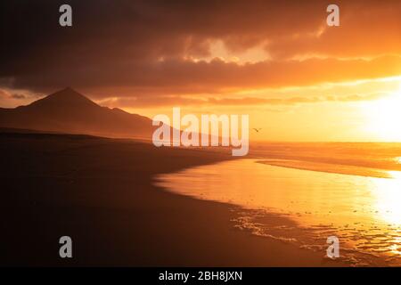 Goldener schöner roter Sonnenuntergang am Strand mit Möwenfliegen für Freiheit und Urlaubskonzept - niemand in tropischer wilder landschaftlicher Lage mit Meer und Bergen - ruhige und friedliche Landschaft an den Sommerferienküsten Stockfoto