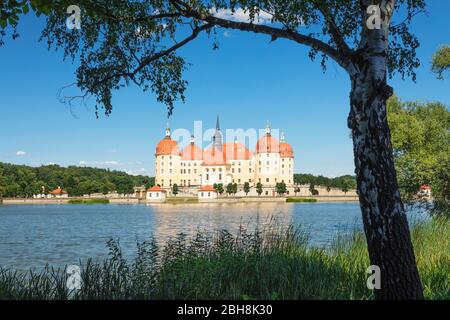 Schloss Moritzburg, Sachsen, Deutschland, Stockfoto