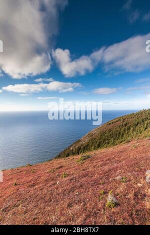 Kanada, Nova Scotia, Cabot Trail, Cape Breton Highlands National Park, erhöhten Blick auf den Atlantik von der Skyline Trail Stockfoto