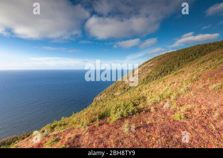 Kanada, Nova Scotia, Cabot Trail, Cape Breton Highlands National Park, erhöhten Blick auf den Atlantik von der Skyline Trail Stockfoto