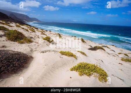 Atemberaubende einsame Landschaft mit Sanddünen und Wüstenpflanzen der atlantikküste mit Meereswellen. Baia das Gatas, nördlich von Calhau, Sao Vicente Island Kap Verde. Stockfoto