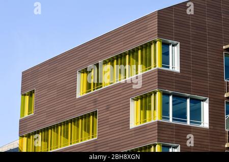 Farbenfrohe gelbe Fenster in einem modernen Architekturgebäude. Fensterläden sind gelb auf einer dunklen Holzwand mit blauem Himmel. Stockfoto