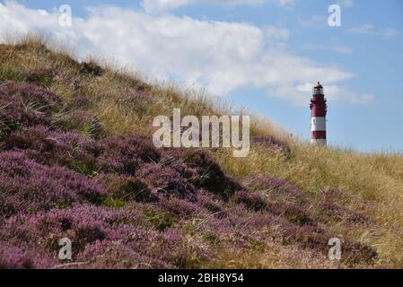 Europa, Deutschland, Schleswig-Holstein, Nordfriesland, Insel, Amrum Stockfoto