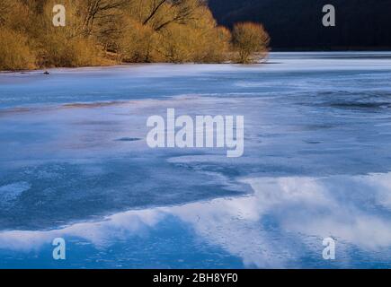 Europa, Deutschland, Hessen, Vöhl, Nationalpark Kellerwald-Edersee, Winterstimmung, Weidenbäume am Ufer der Wooghölle, Wolkenspiegelung Stockfoto