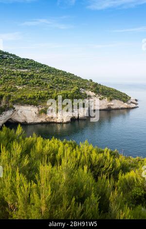 Italien, Mezzogiorno, Apulien / Apulien, Gargano, Provinz Foggia, Vieste, Spiaggia di Vignanotica Stockfoto