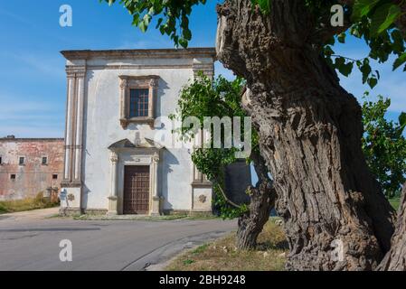 Italien, Mezzogiorno, Apulien / Apulien, Halbinsel Salento, Nardò, Bed & Breakfast, Agriturismo La Fragna Stockfoto