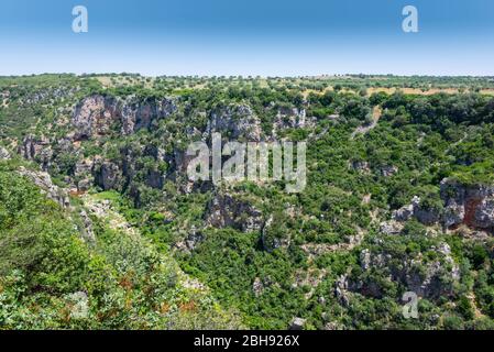 Italien, Mezzogiorno, Apulien / Apulien, Halbinsel Salento, Castellaneta, Schlucht Gravina Grande Stockfoto