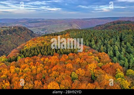 Luftaufnahme einer Waldlandschaft im Herbst in Kastel-Staadt, Saartal, Rheinland-Pfalz, Deutschland Stockfoto