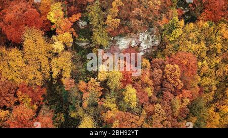 Luftaufnahme einer Waldlandschaft im Herbst in Kastel-Staadt, Saartal, Rheinland-Pfalz, Deutschland Stockfoto