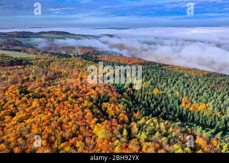 Luftaufnahme einer Waldlandschaft im Herbst in Kastel-Staadt, Saartal, Rheinland-Pfalz, Deutschland Stockfoto