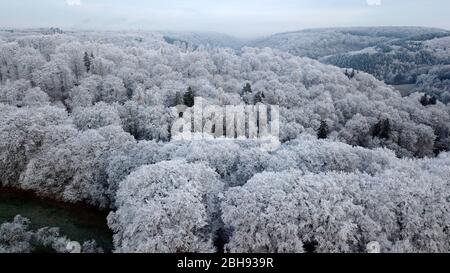 Luftaufnahme einer Waldlandschaft mit Raureif, Kastel-Staadt, Saartal, Rheinland-Pfalz, Deutschland Stockfoto