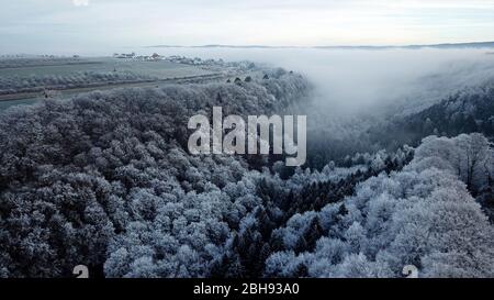 Luftaufnahme einer Waldlandschaft mit Raureif, Kastel-Staadt, Saartal, Rheinland-Pfalz, Deutschland Stockfoto