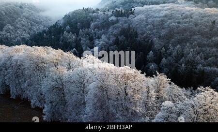 Luftaufnahme einer Waldlandschaft mit Raureif, Kastel-Staadt, Saartal, Rheinland-Pfalz, Deutschland Stockfoto