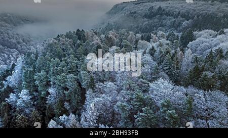 Luftaufnahme einer Waldlandschaft mit Raureif, Kastel-Staadt, Saartal, Rheinland-Pfalz, Deutschland Stockfoto