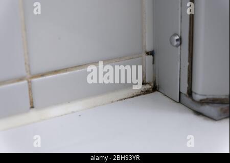 Ecke im gefliesten Zimmer mit Schimmel und schmutzige Flecken in einem Konzept für Sauberkeit und Hygiene oder Gesundheitsgefahr Stockfoto