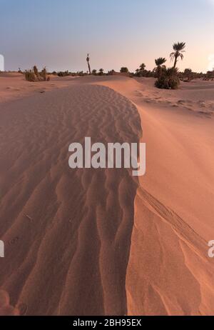 Sonnenuntergang vor den Toren der Sahara Wüste. Stockfoto