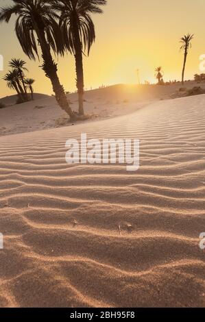 Sonnenuntergang vor den Toren der Sahara Wüste. Stockfoto