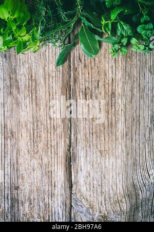 Frische Kräuter, Basilikum, Minze, Thymian aromatische Blätter umrandet oben auf einem alten Holzhintergrund. Copyspace, vertikales Hochformat. Stockfoto