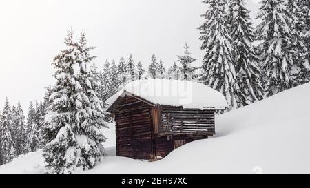 Winterlandschaft bei Söll, Wilder Kaiser, Tirol, Österreich Stockfoto