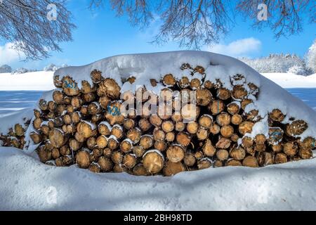 Im Winter übereinander gestapeltes, schneebedecktes Brennholz Stockfoto