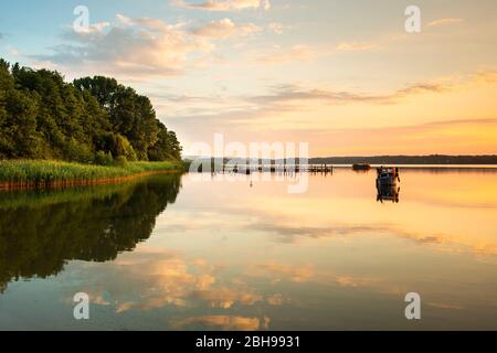 Ufer mit Schilf und Booten im Morgenlicht, Scharmützelsee, Brandenburg, Deutschland Stockfoto