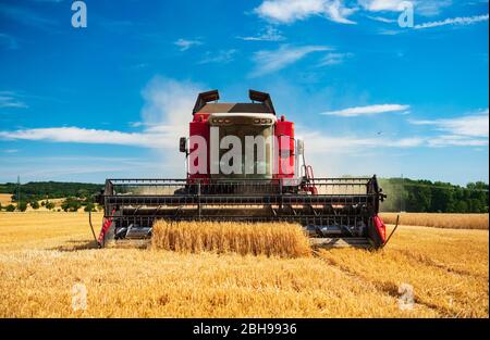 Mähdrescher in Getreidefeld Ernten Gerste, Feld unter blauem Himmel, Burgenland Region, Sachsen-Anhalt, Deutschland Stockfoto