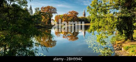 Herbst im Wörlitzer Park, Seerosensee, hinter Kirche und Synagoge, Dessau-Wörlitzer Gartenreich, Wörlitz, Sachsen-Anhalt, Deutschland Stockfoto