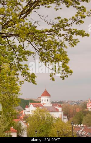 Kathedrale der Gottesmutter, Vilnius, Litauen Stockfoto