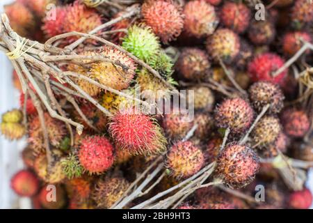 Kambodscha, Siem Reap, tropische Früchte, Rambutan Stockfoto