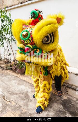 Kambodscha, Battambang, Chinesischer Tempel, Drachentanz-Performer, Stockfoto