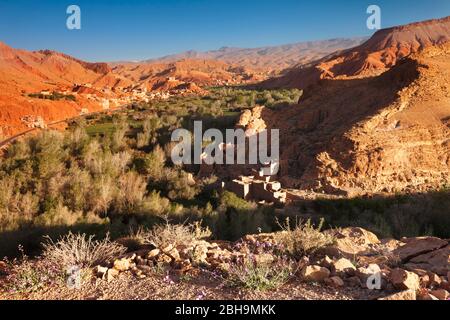 Dadestal, Atlas, Marokko, Al-Magreb, Afrika, Stockfoto