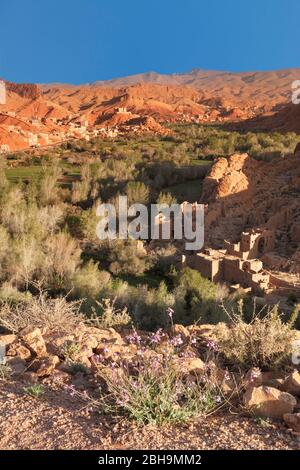 Blick über eine Kasbah Ruine zum Dagestal, Atlas, Marokko, Al-Magreb, Afrika, Stockfoto