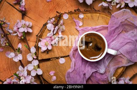 tasse Kaffee mit blühenden Kirschbaumzweigen. Frühling und Sakura abstrakt Stockfoto