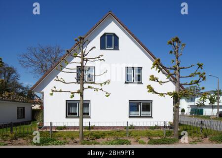 Modernes Wohnhaus, Einfamilienhaus, Binz auf Rügen, Insel Rügen, Mecklenburg-Vorpommern, Deutschland, Europa Stockfoto