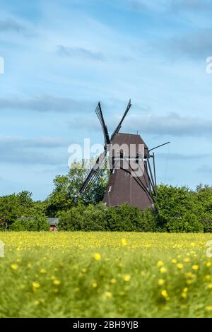 Lemkenhafen, Fehmarn, Schleswig-Holstein, Norddeutschland, Deutschland, Windmühle auf der Insel Fehmarn Stockfoto