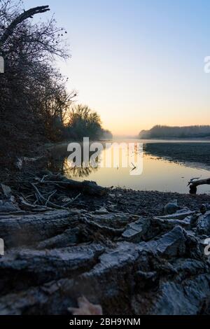 Nationalpark Donau-Auen, Nationalpark Donau-Auen: oxbow See am Nationalpark Donau-Auen, Lobau Gebiet in der Nähe von Schönau an der Donau, Niederösterreich, Niederösterreich, Österreich Stockfoto