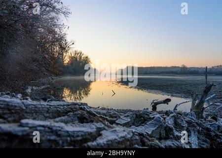 Nationalpark Donau-Auen, Nationalpark Donau-Auen: oxbow See am Nationalpark Donau-Auen, Lobau Gebiet in der Nähe von Schönau an der Donau, Niederösterreich, Niederösterreich, Österreich Stockfoto