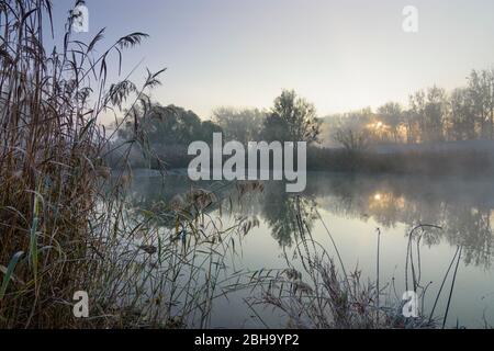 Nationalpark Donau-Auen, Nationalpark Donau-Auen: oxbow See am Nationalpark Donau-Auen, Lobau Gebiet in der Nähe von Schönau an der Donau, Niederösterreich, Niederösterreich, Österreich Stockfoto