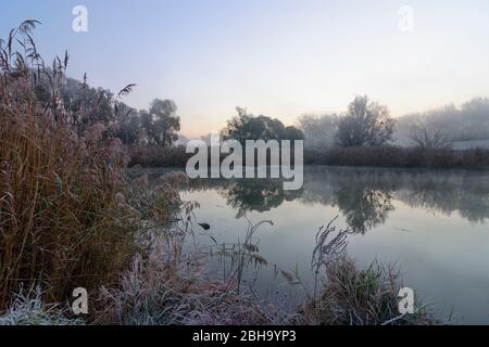 Nationalpark Donau-Auen, Nationalpark Donau-Auen: oxbow See am Nationalpark Donau-Auen, Lobau Gebiet in der Nähe von Schönau an der Donau, Niederösterreich, Niederösterreich, Österreich Stockfoto