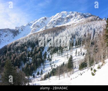 Puchberg am Schneeberg: Berg Schneeberg Nordwand in Wien Alpen, Alpen, Niederösterreich, Niederösterreich, Österreich Stockfoto